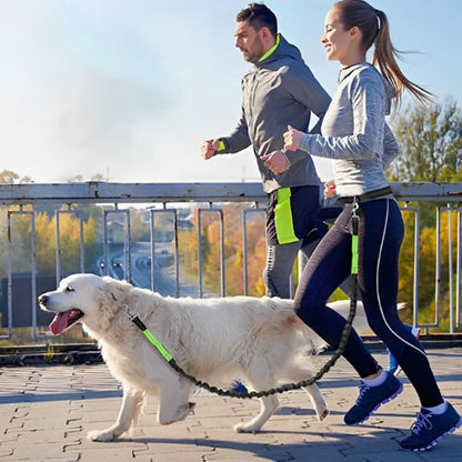 laisse mains libres pour chien traction flexible