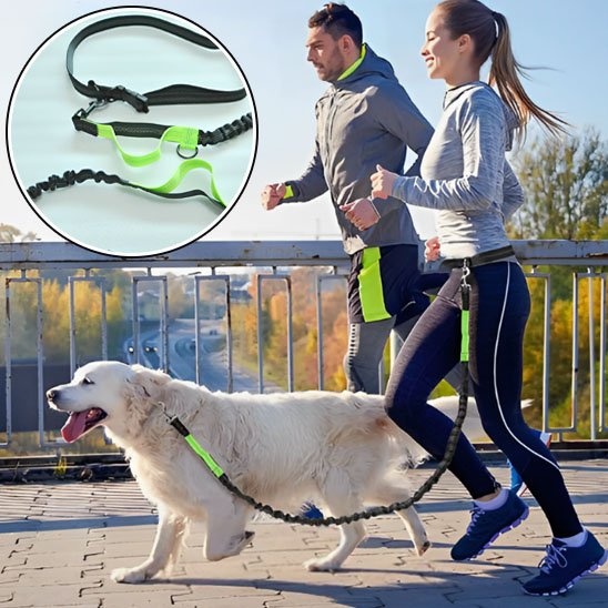 laisse mains libres pour chien utilisation facile