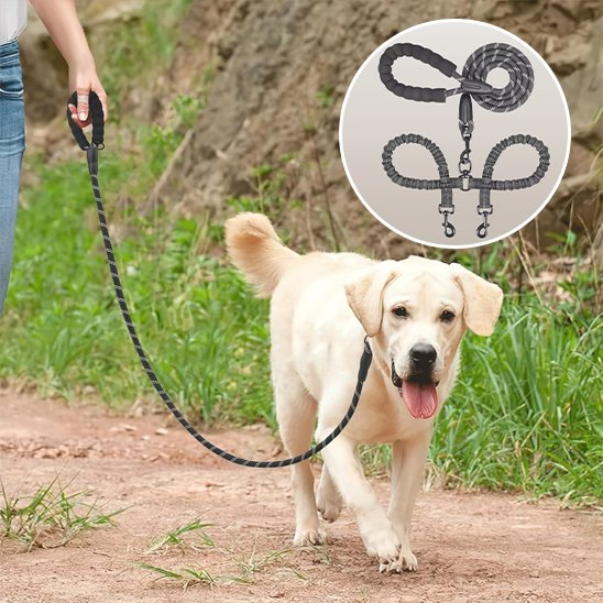 laisse pour 2 chiens ajustable