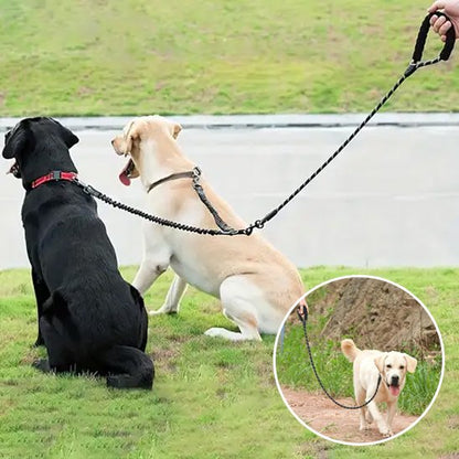 laisse pour 2 chiens anti emmêlement