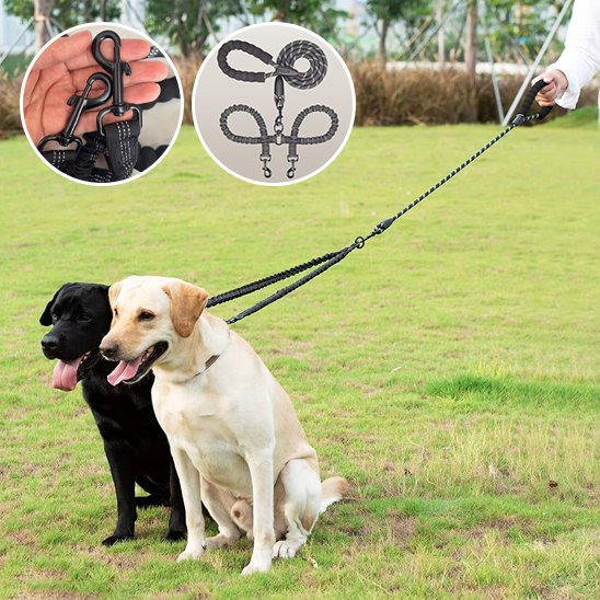 laisse pour 2 chiens avec poignée