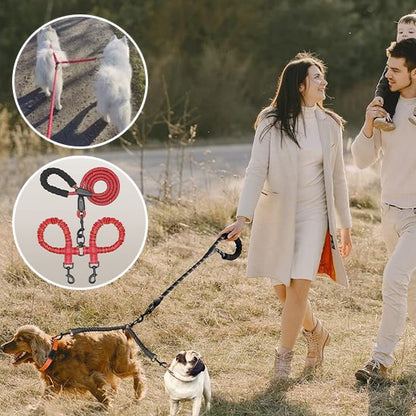 laisse pour 2 chiens en nylon