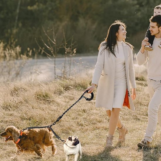 laisse pour 2 chiens facile à utiliser