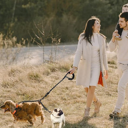 laisse pour 2 chiens facile à utiliser