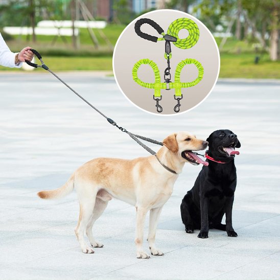 laisse pour 2 chiens solide