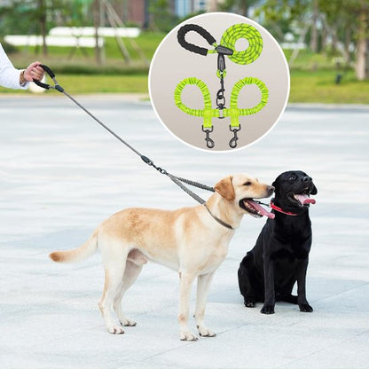 laisse pour 2 chiens solide
