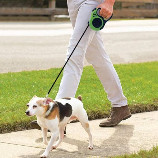 laisse pour chien contrôle sécurisé