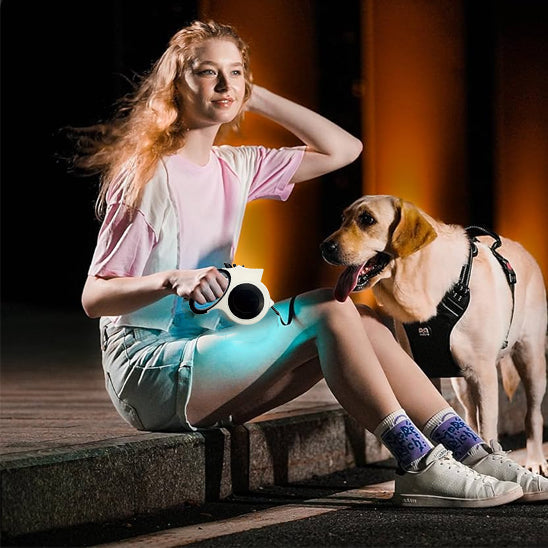 laisse pour chien enrouleur avec lampe torche