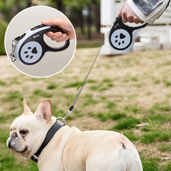 laisse pour chien enrouleur design forme patte