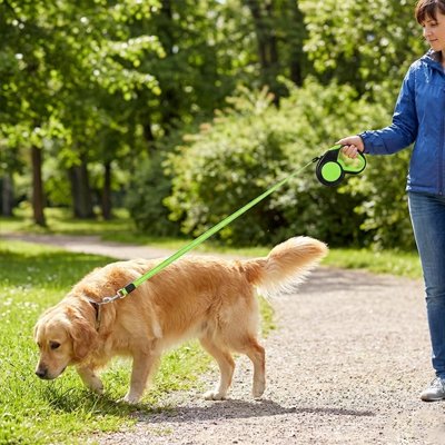 laisse pour chien enrouleur ergonomique solide