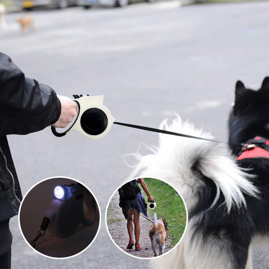 laisse pour chien enrouleur pour diffèrent  chien