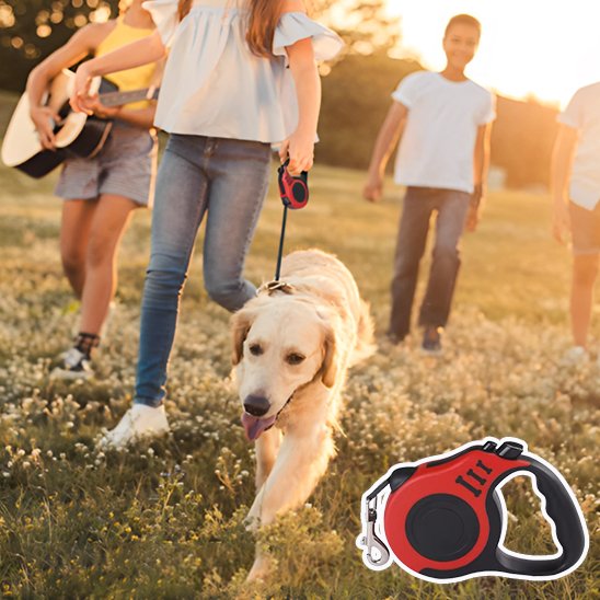 laisse pour chien ergonomique confort