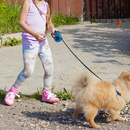 laisse pour chien pratique légère 