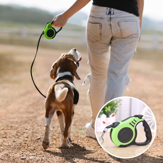 laisse pour chien résistante durable