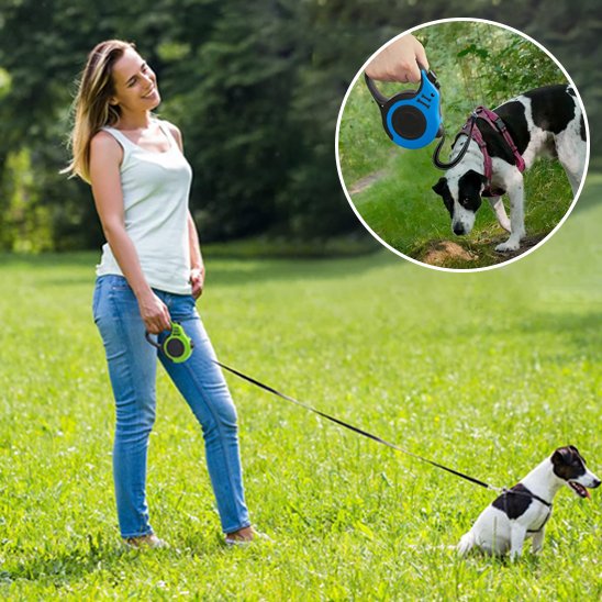 laisse pour chien solide résistante