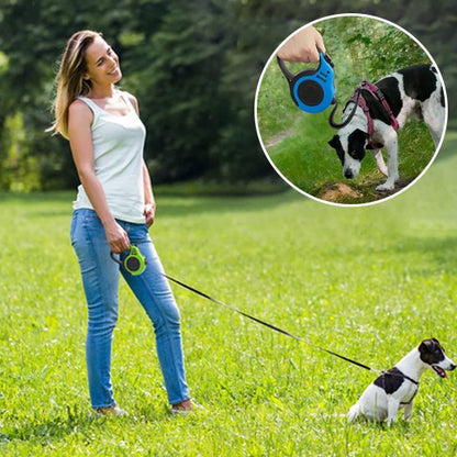 laisse pour chien solide résistante