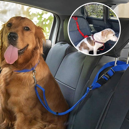 laisse pour chien voiture attache sécurisée
