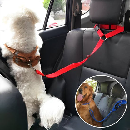 laisse pour chien voiture fixation ceinture