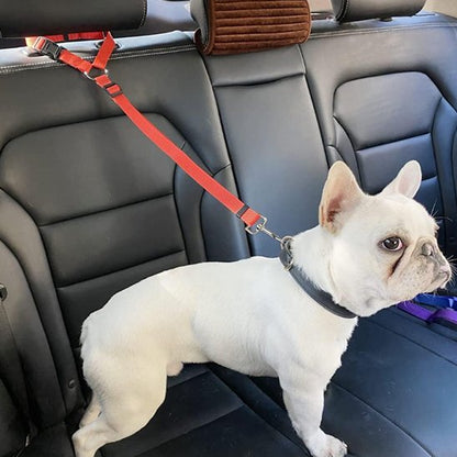 laisse pour chien voiture fixation rapide