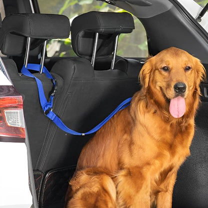 laisse pour chien voiture sécurité animal