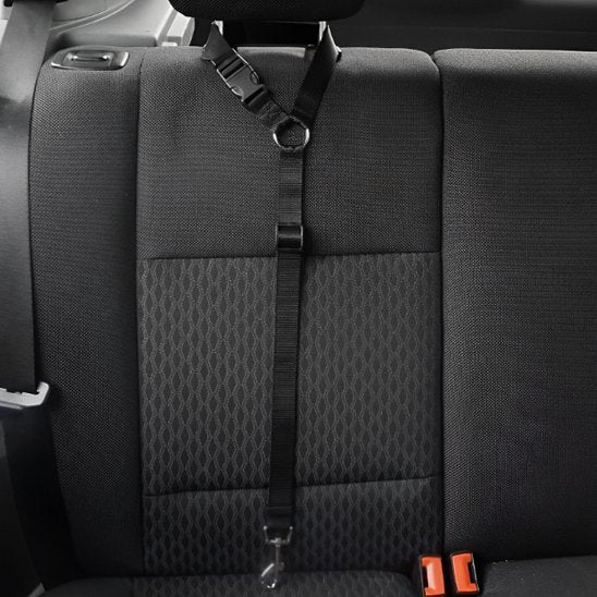 laisse pour chien voiture utilisation facile