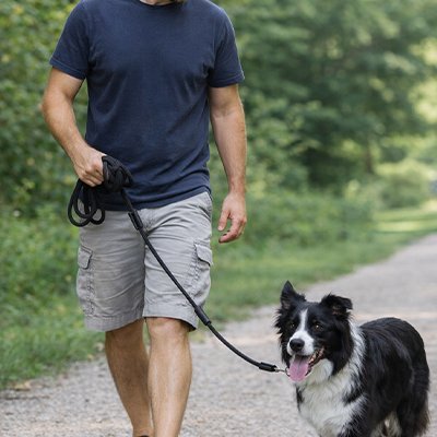 longe pour chien contrôle éducation