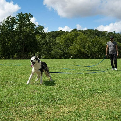 longe pour chien rappel canin