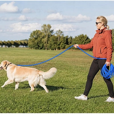 longe pour chiens mousqueton rotatif métal