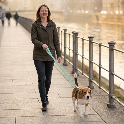 longe pour chiens rappel canin 