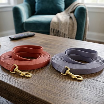 longes chien pour promenades quotidiennes