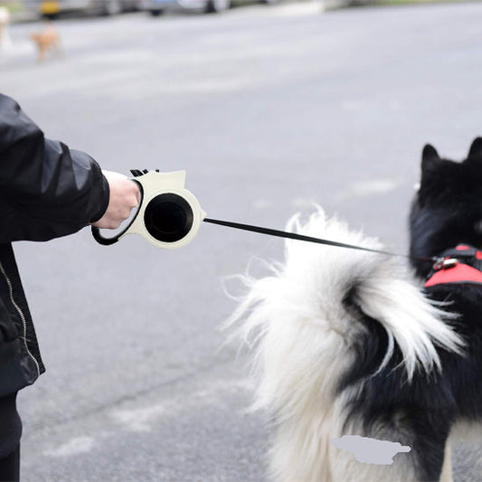 maitrise distance chien avec laisse pour chien enrouleur