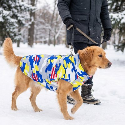 manteau chien chaud pour hiver