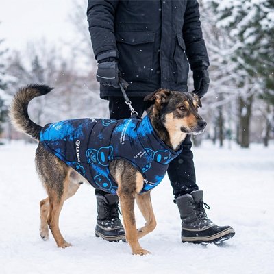 manteau chien chaud pour temps froid
