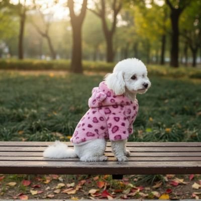 manteau chien hiver style peluche confortable