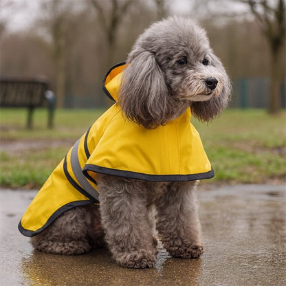 manteau chien imperméable petit chien confort