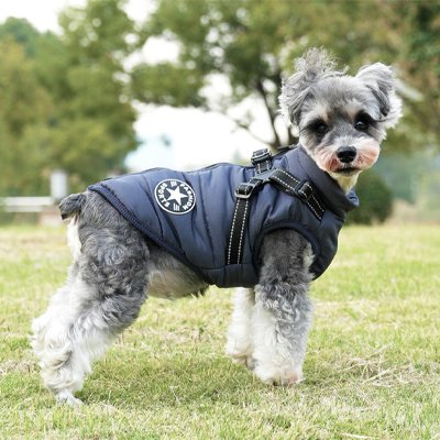 manteau chien imperméable pour promenade hiver