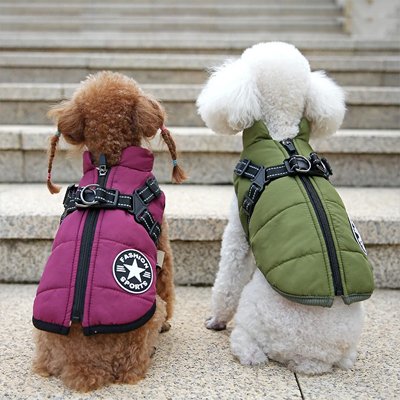 manteau chien imperméable pour sorties hiver