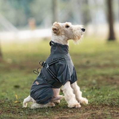 manteau chien imperméable protection pluie