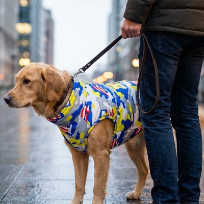 manteau chien pour grand chien