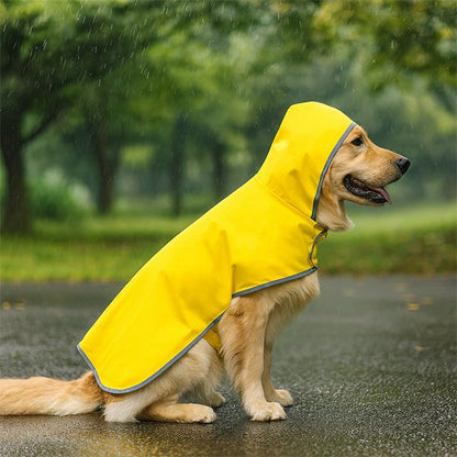 manteau imperméable chien balade toutes saisons