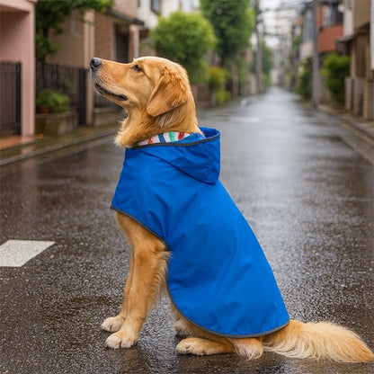 manteau imperméable chien capuche protection pluie