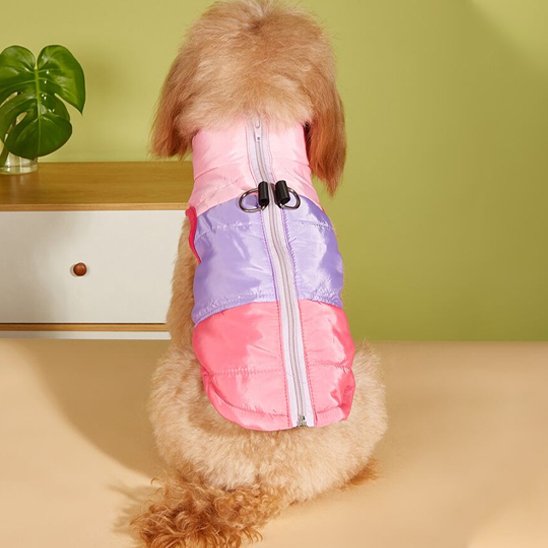 manteau petit chien matelassé confort quotidien
