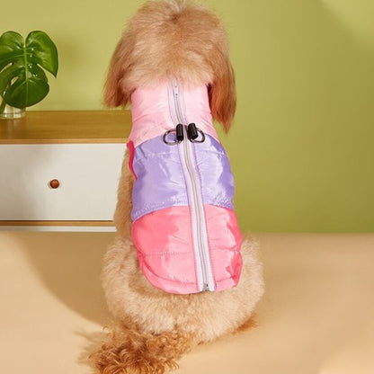 manteau petit chien matelassé confort quotidien