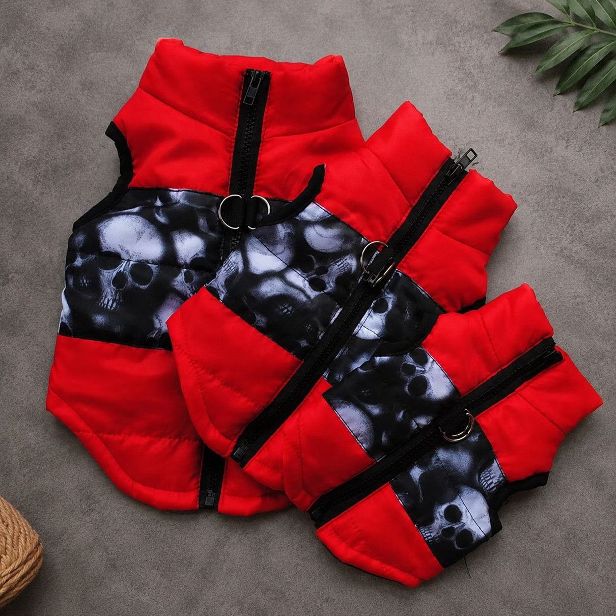 manteau petit chien rembourré confort hiver