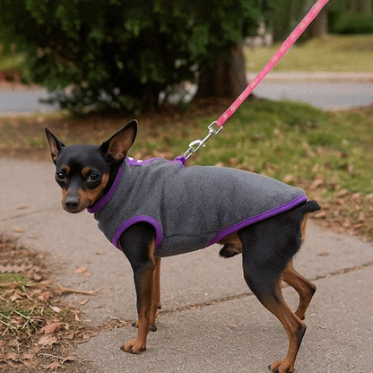 manteau pour chien chaud promenade