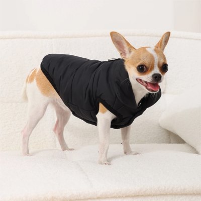 manteau pour petit chien imperméable