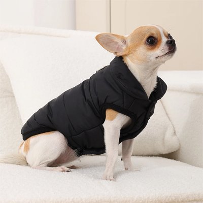 manteau pour petit chien promenade hiver