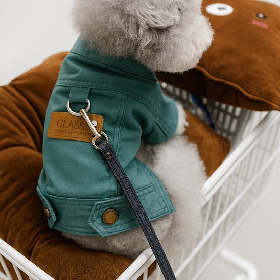 manteaux chien style veste confortable
