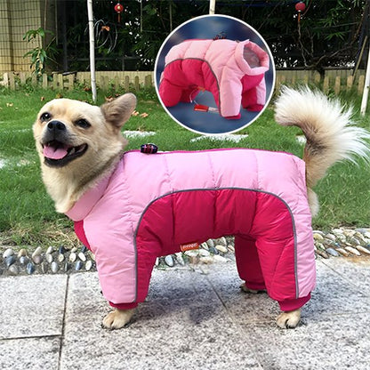 manteaux pour chien chaud confortable
