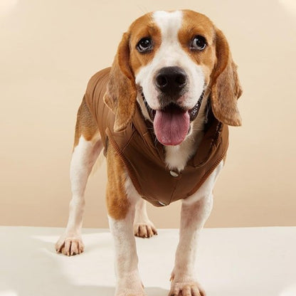 manteaux pour chien chaud pour hiver